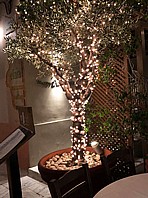 שרשרת נורות לד גרלנדה תאורה סולארית עם 100 נורות לד LED לבן חם